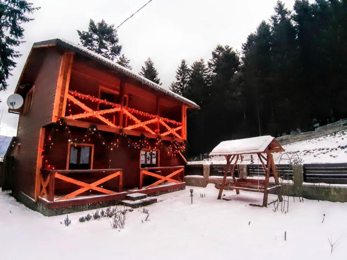 Villa House Beskyd à Skole Extérieur photo